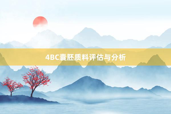 4BC囊胚质料评估与分析